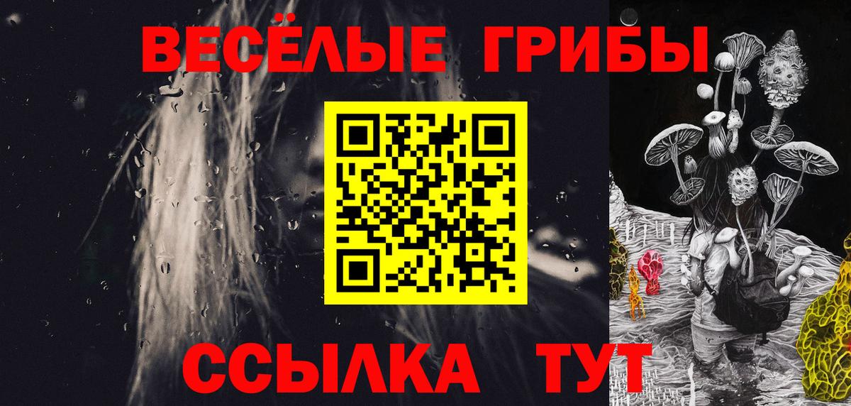 Псилоцибиновые грибы мицелий Юрга